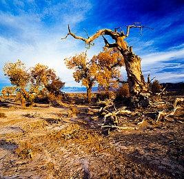 大丈夫萌大奶厂商推出太空肉鸽新作《STARNAUT》