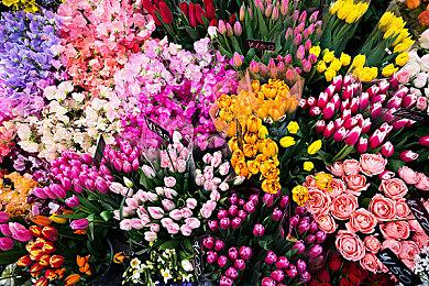 一加12玩《原神》两小时几乎满帧 巅峰性能丝滑体验